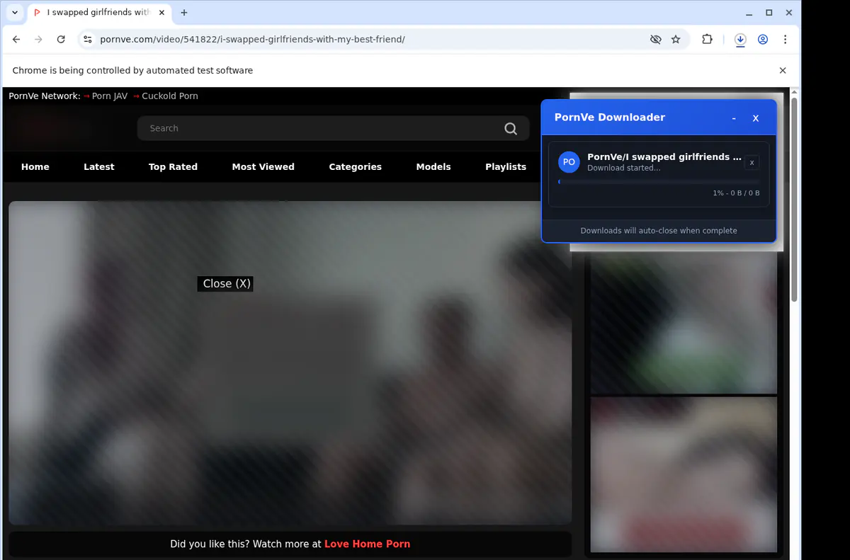 Pornve Video Downloader browser extension screenshot 3