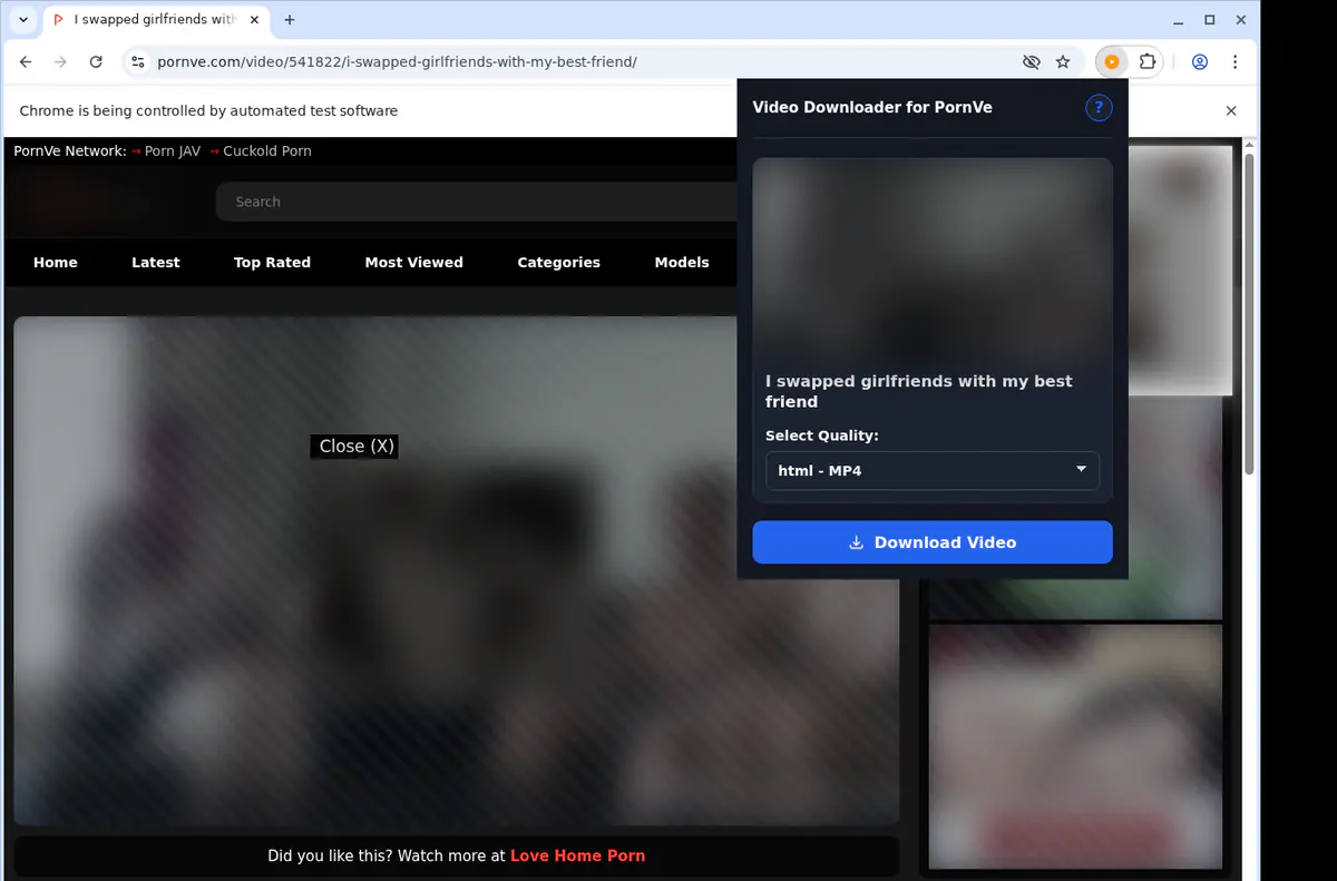 Pornve Video Downloader browser extension screenshot 4